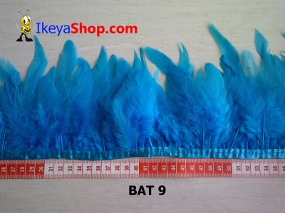 BAT 9  large2